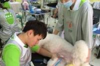 如何成为A级宠物美容师，该选什么学校？ 宠物美容专业学校