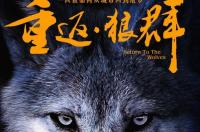 狼群电影时长？ 狼群影视