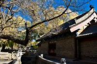 太原市区旅游必去十大景点推荐？ 太原旅游攻略景点必去