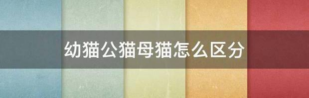 t0186902b25e2cdb5a9.jpg