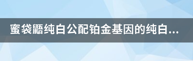 t016a0fe77d65a7419f.png