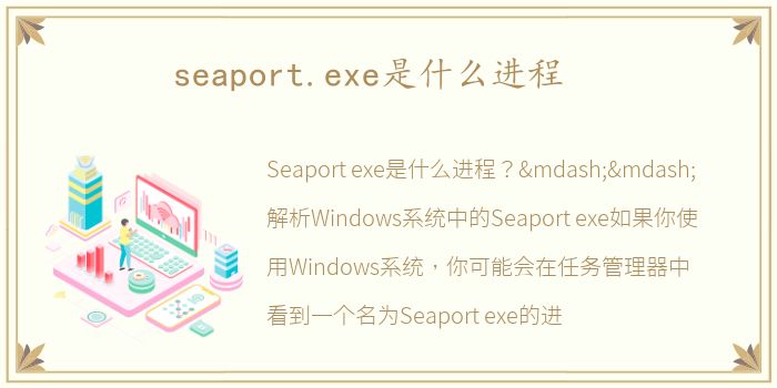 seaport.exe是什么进程