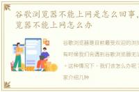 谷歌浏览器不能上网是怎么回事，谷歌浏览器不能上网怎么办