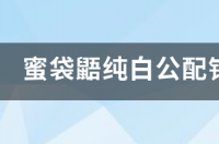 蜜袋鼯铂金一对多少钱？ 白金蜜袋鼯多少钱一只
