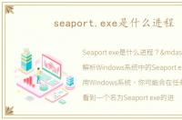 seaport.exe是什么进程