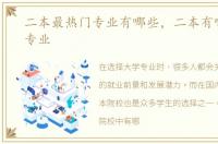 二本最热门专业有哪些，二本有哪些热门专业
