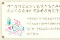 四个月的宝宝不母乳喂养怎么办四个月的宝宝不喜欢母乳喂养的原因是什么