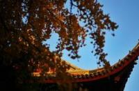 北京有哪些好玩的旅游景点 北京游玩必去的地方有哪些