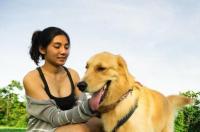 适合室内养的中型犬有哪些 最适合室内养的狗狗