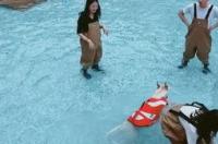 喜欢养宠物的人什么心理？ 宠物心理咨询师