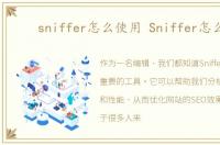 sniffer怎么使用 Sniffer怎么用