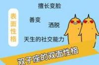 双子座最典型的性格特征是什么？ 十二星座的性格脾气双子座