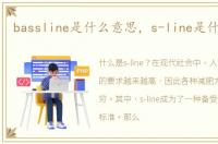 bassline是什么意思，s-line是什么意思