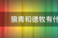 德牧和狼青都有那些具体区别？ 狼青和德牧的区别