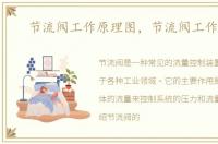 节流阀工作原理图，节流阀工作原理