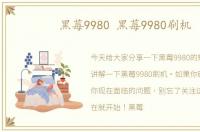 黑莓9980 黑莓9980刷机