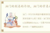 油门的别名的介绍，油门的学名是什么
