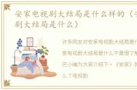 安家电视剧大结局是什么样的（安家电视剧大结局是什么）