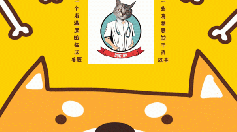 布偶猫海双和蓝双区别？ 布偶猫怎么分辨蓝双和海双