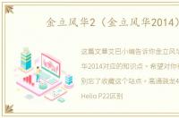 金立风华2（金立风华2014）
