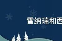 雪纳瑞和西高地哪个好 西高地聪明吗