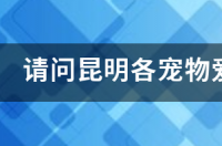 动物救助站怎么申请？ 宠物爱心救助站