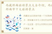 西藏那曲旅游景点大全介绍，西藏自治区那曲市十大旅游景点