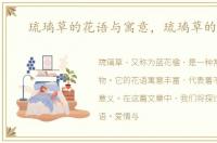 琉璃草的花语与寓意，琉璃草的花语