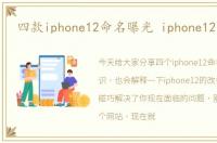 四款iphone12命名曝光 iphone12重命名