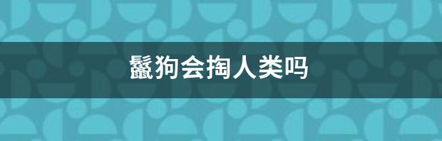 t01acfe6239bd3f86ed.png