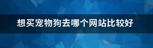 t01f1b74e92de124769.png