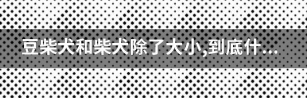 t019b22c1862b6bec12.png