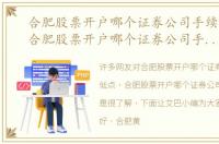 合肥股票开户哪个证券公司手续费低点，合肥股票开户哪个证券公司手续费低