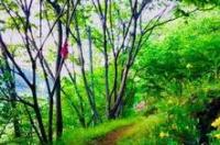春节汉中最值得去的三个地方？ 汉中旅游最值得去的地方