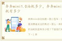 奔奔mini1.0油耗多少，奔奔mini自动挡油耗有多少