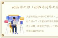 w58e的介绍（w589的简单介绍）