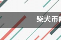 柴犬币能买吗？ 2022柴犬币最新消息