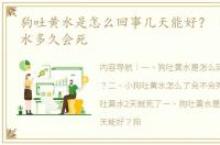 狗吐黄水是怎么回事几天能好？ 狗狗吐黄水多久会死
