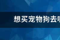 想买宠物狗去哪个网站比较好 宠物狗在哪个网站比较好