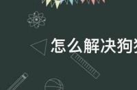 怎么解决狗狗到处大小便 宠物狗大小便怎么解决