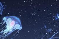 能把白羊座吃得死死的星座？ 白羊座死于哪个星座