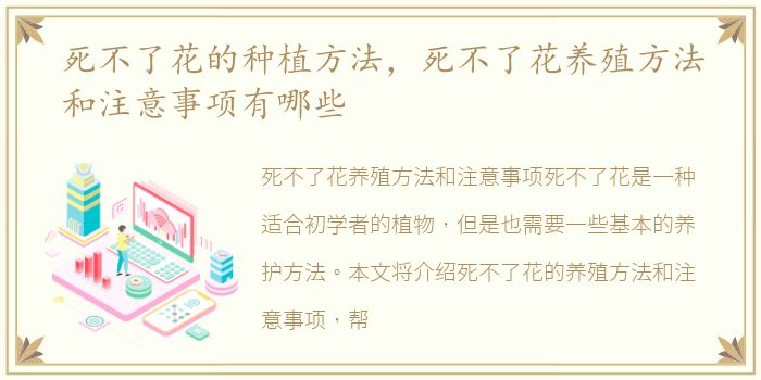 死不了花的种植方法，死不了花养殖方法和注意事项有哪些