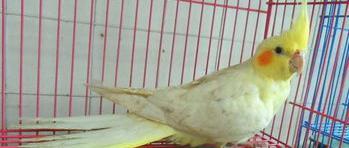 t012f3287305903cad6.jpg