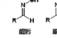 肟结构式通式？ 环己酮肟化