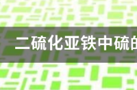 硫酸亚铁的化合价？ 硫化亚铁化合价