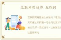 互联网营销师 互联网