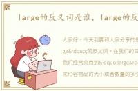 large的反义词是谁，large的反义词