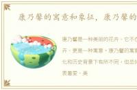 康乃馨的寓意和象征，康乃馨的寓意