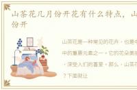 山茶花几月份开花有什么特点，山茶花几月份开