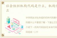 社会组织机构代码是什么，机构代码是什么